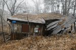 Abandoned Forest Escape