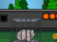 Cute Wombat Escape