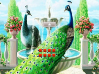 Escape From Peacock Land