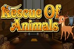 Rescue Of Animals