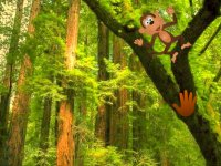 Funny Monkey Forest Escape