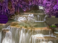 Soothing Purple Forest Escape